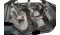 Toyota Corolla Altis GL Diesel Toyota Corolla Altis GL Diesel