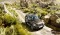 BMW X5 xDrive 50i